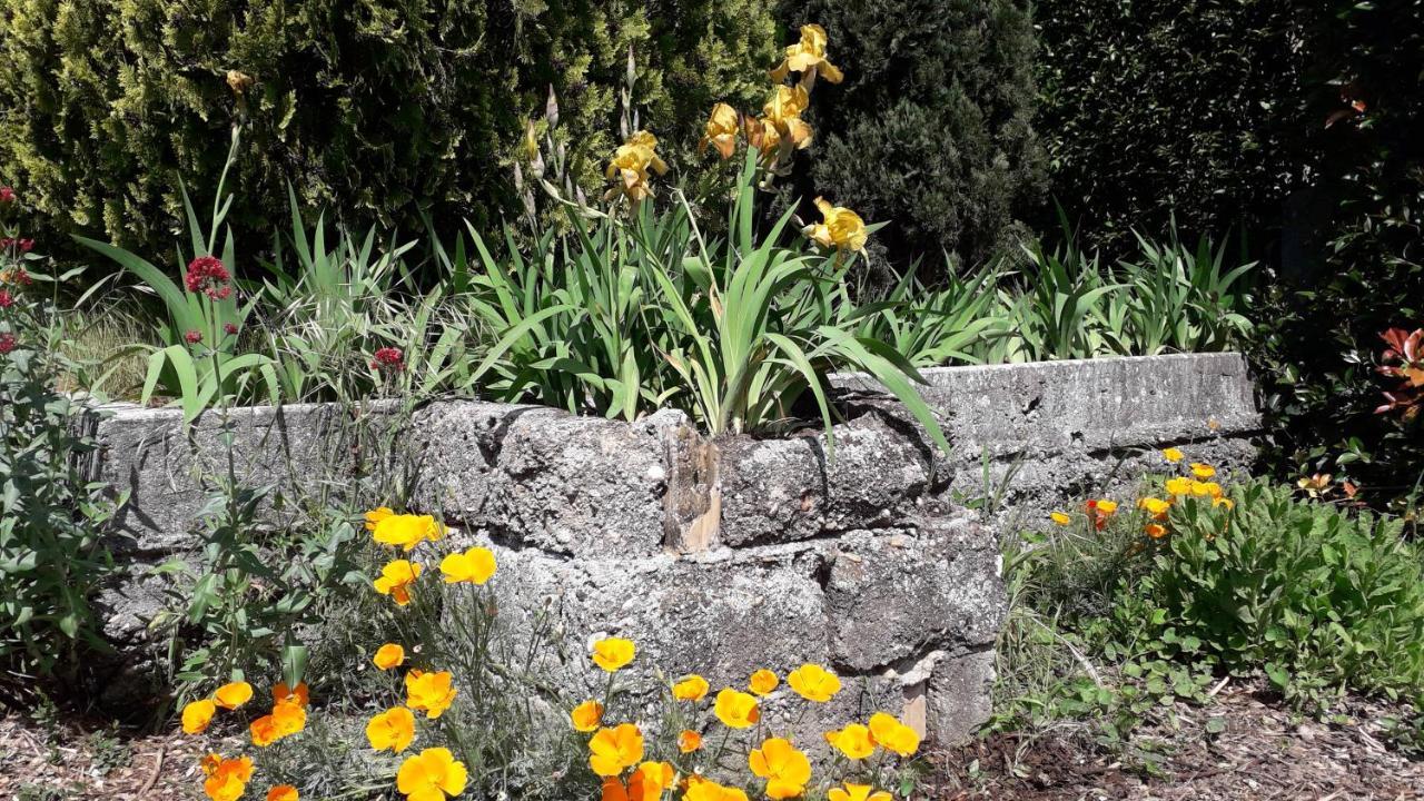 Golf Club D'Uzes Panzió Kültér fotó